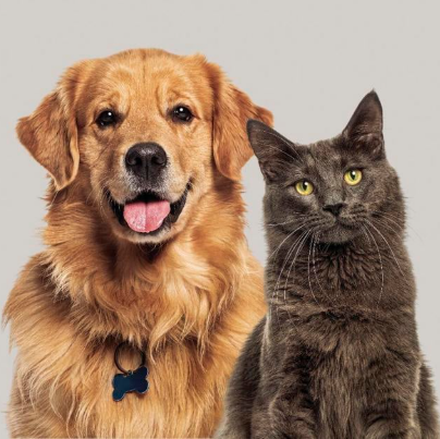 For Pet Lovers