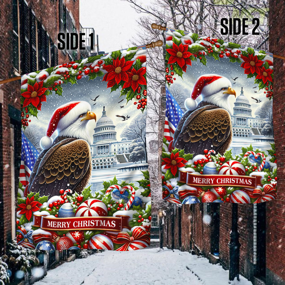 Patriotic Eagle Christmas American Flag TQN2001F