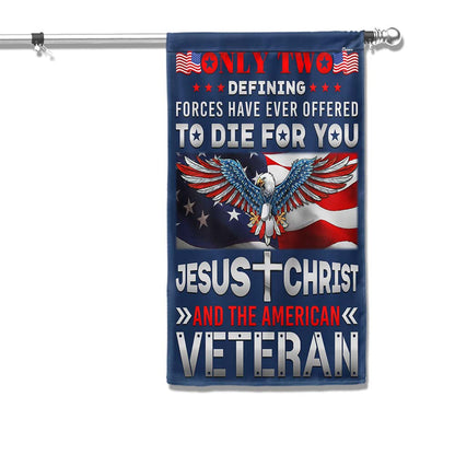 Memorial Day Jesus Christ And The American Veteran Patriotic American Eagle Flag TPT1284F