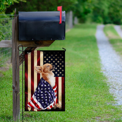Chihuahua American Patriot Flag