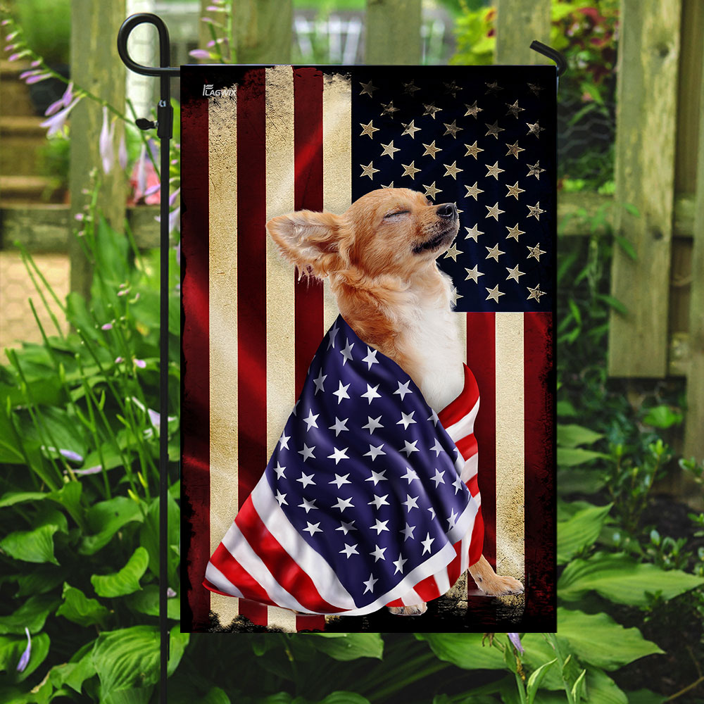 Chihuahua American Patriot Flag