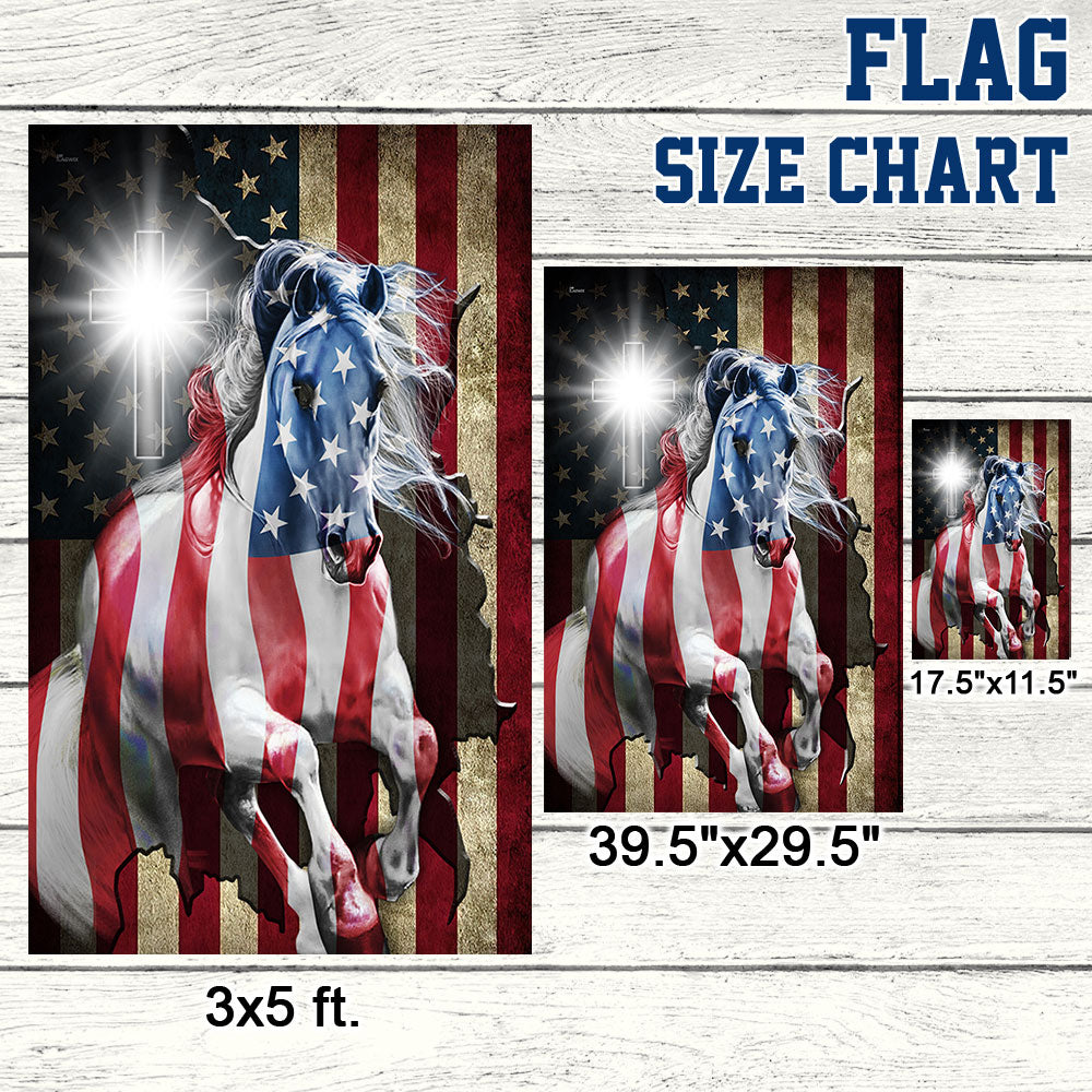 Patriot Horse American Flag MLN349F