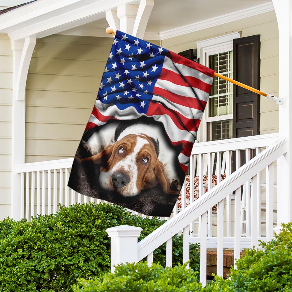 Basset Hound. American Patriot Flag
