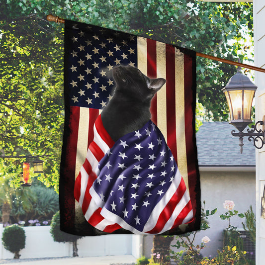 Black Cat American Patriot Flag Wrapped in Glory