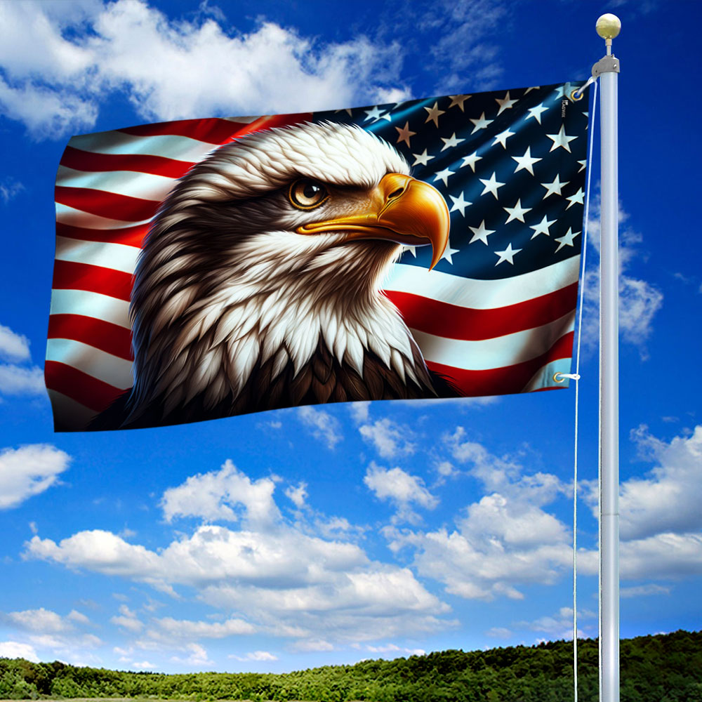 Flagwix American Flag | Patriotic Eagle American Grommet Flag