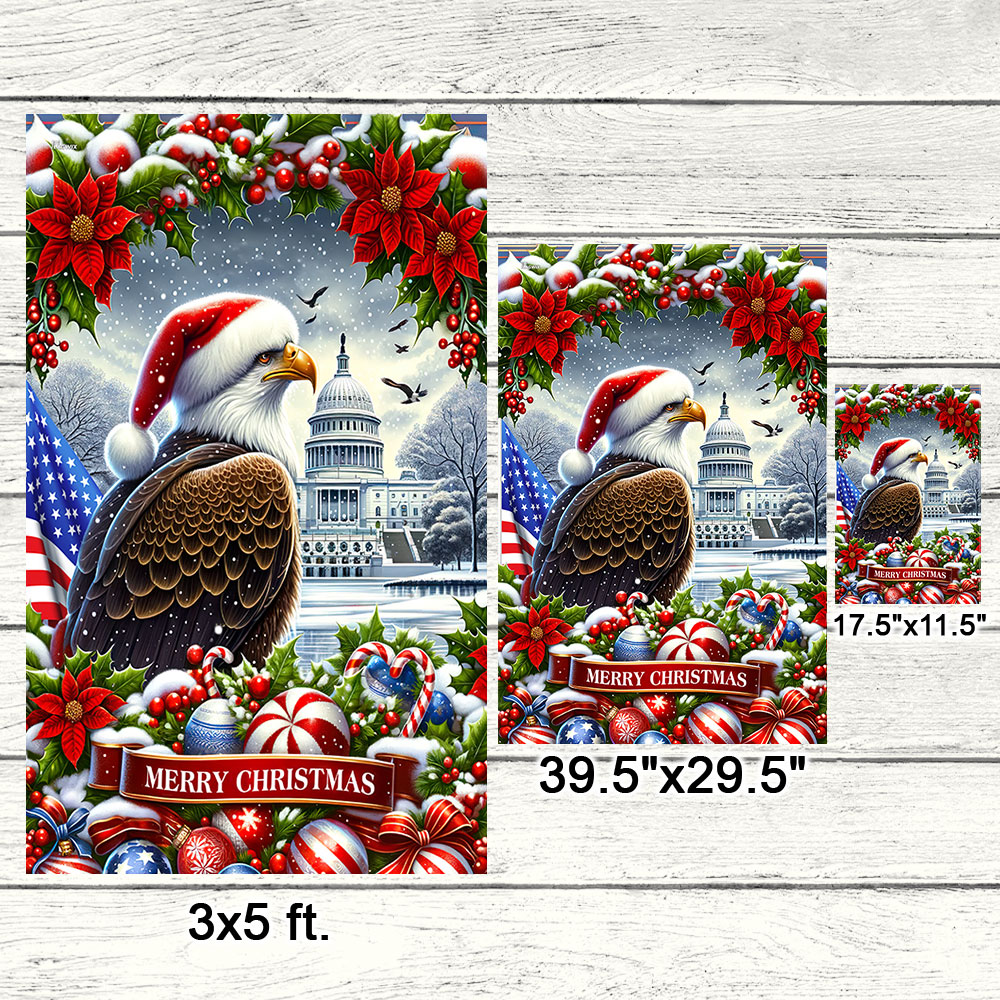 Patriotic Eagle Christmas American Flag TQN2001F